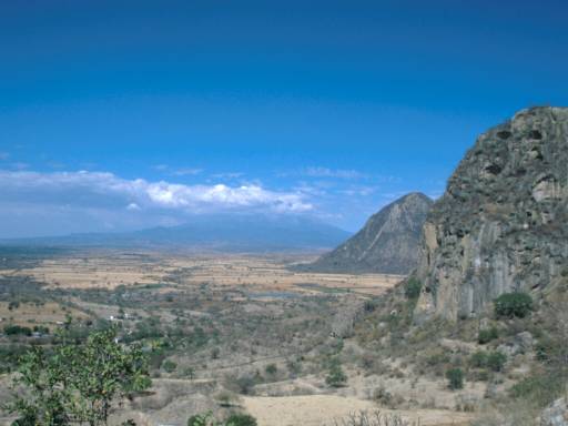 Image5.web.jpg