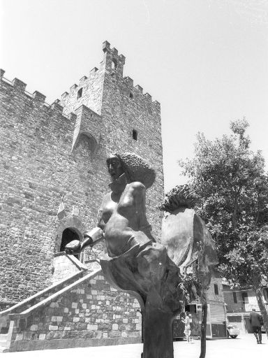Image2433.web.jpg