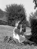 [thumbnail of Picture 11]