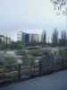 [thumbnail of Picture 3]