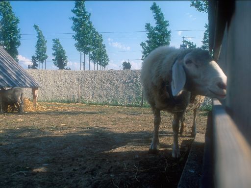 Image0386.web.jpg