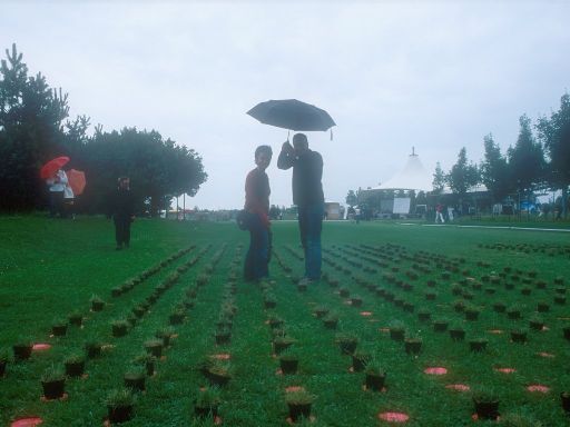 Image0412.web.jpg