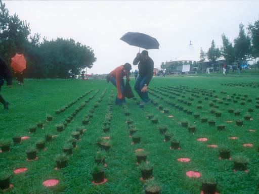 [thumbnail of Picture 9]