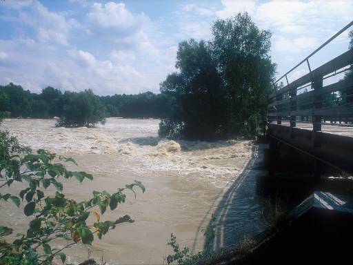 [thumbnail of Picture 1]