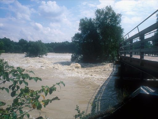 Image0432.web.jpg