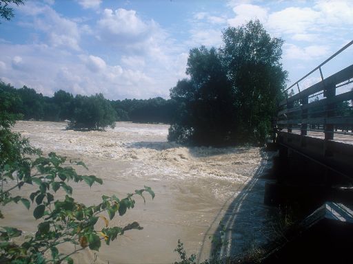 Image0433.web.jpg