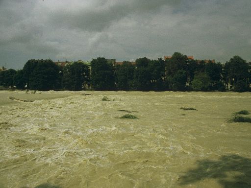 Image0439.web.jpg