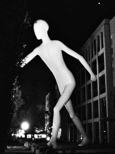 Image027.web.jpg