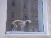 [thumbnail of Picture 5]