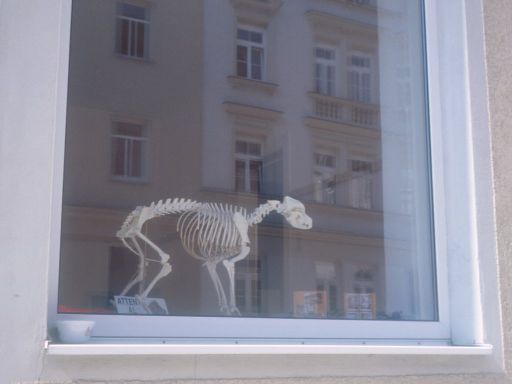 Image044.web.jpg