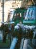 [thumbnail of Picture 30]