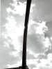 [thumbnail of Picture 5]