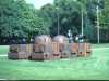 [thumbnail of Picture 7]