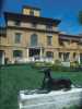 [thumbnail of Picture 15]