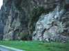 [thumbnail of Picture 2]