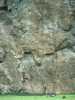[thumbnail of Picture 4]