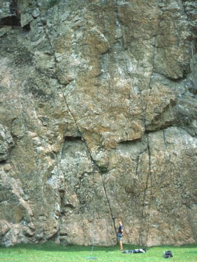 Image4.web.jpg