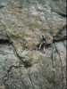[thumbnail of Picture 7]