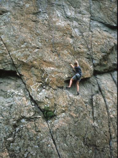 Image7.web.jpg