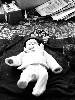 [thumbnail of Picture 6]