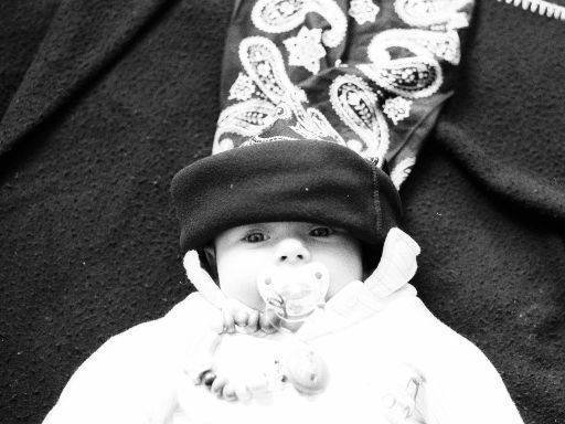Image1037.web.jpg