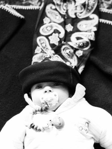 Image1038.web.jpg