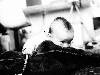 [thumbnail of Picture 22]