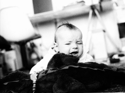Image1052.web.jpg
