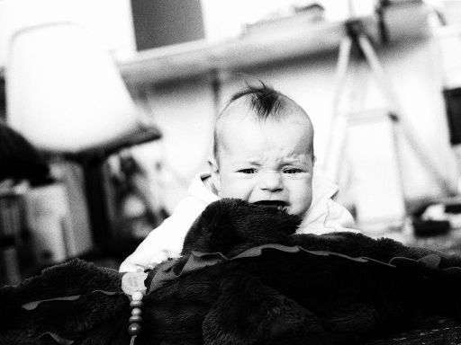 Image1053.web.jpg