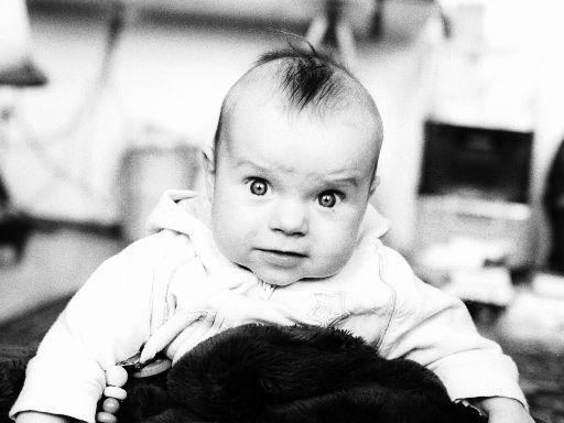 Image1054.web.jpg