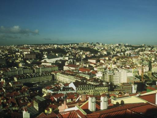 Image0010.web.jpg