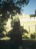 [thumbnail of Picture 12]