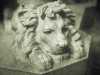 [thumbnail of Picture 5]
