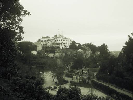 Image0062.web.jpg