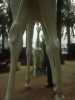 [thumbnail of Picture 11]