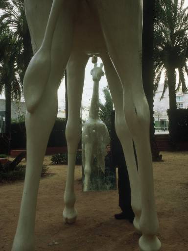 Image0083.web.jpg