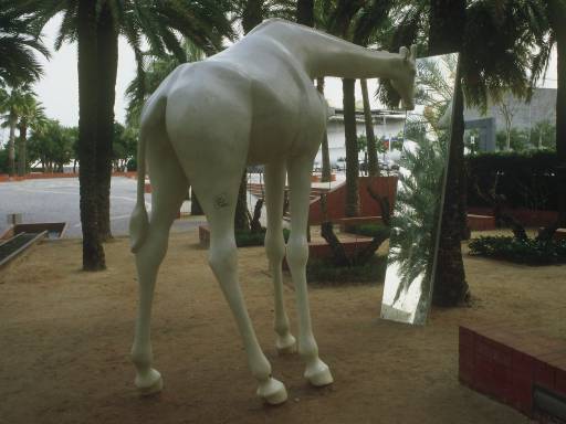 Image0084.web.jpg