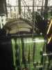 [thumbnail of Picture 8]