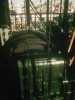 [thumbnail of Picture 9]