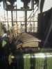 [thumbnail of Picture 12]