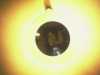 [thumbnail of Picture 1]