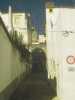 [thumbnail of Picture 14]