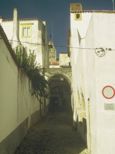 Image0051.web.jpg