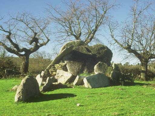 Image0058.web.jpg