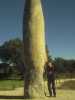 [thumbnail of Picture 25]