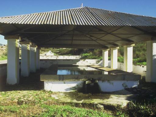 Image0072.web.jpg