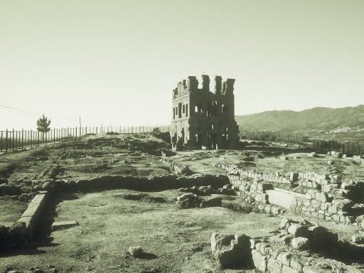 Image0220.web.jpg