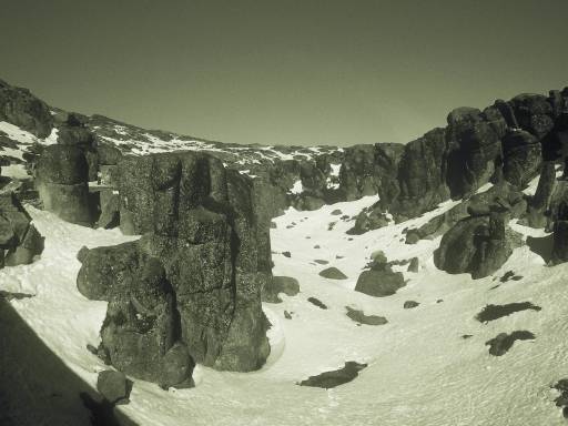 Image0222.web.jpg