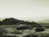 [thumbnail of Picture 22]