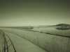 [thumbnail of Picture 25]